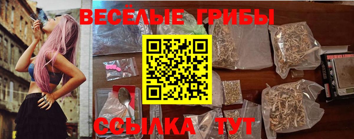 даркнет сайт  Галлюциногенные грибы Psilocybine cubensis  Вход с VPN  Пугачёв 